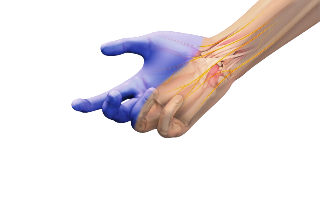 Advanced Manual Therapy