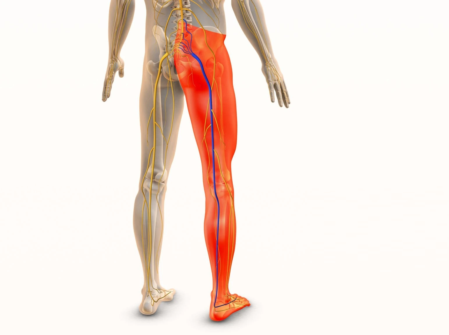 Piriformis Syndrome Therapy