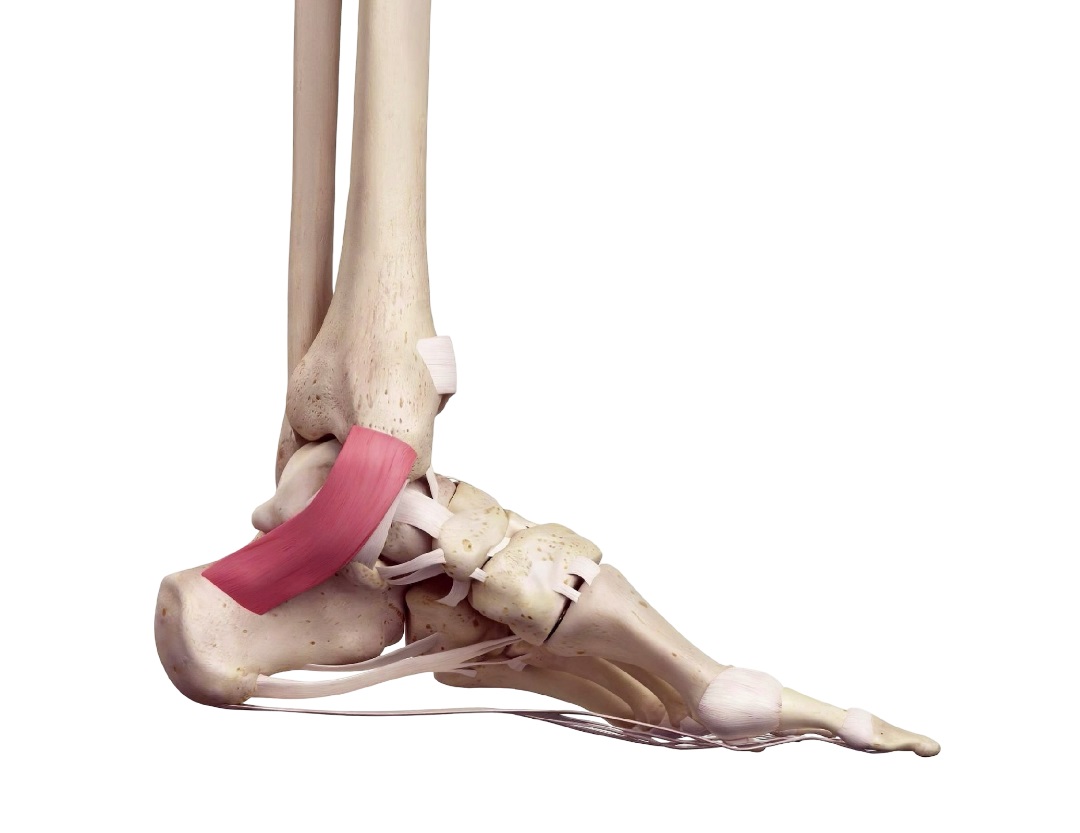 Tarsal Tunnel Care